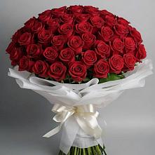 Букет 101 Красная роза Блэк Мэджик в Пседахе
