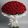 Букет 101 Красная роза Блэк Мэджик в Пседахе