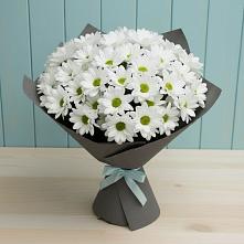 Букет цветов из:  Хризантемы #REPLACE_PRED# Пседахе