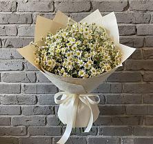Букет цветов из:  Ромашки в Пседахе