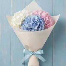 Букет цветов из:  Гортензия в Пседахе