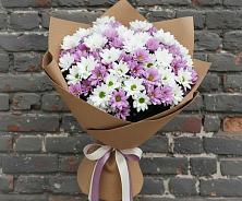 Букет цветов из:  Хризантемы #REPLACE_PRED# Пседахе