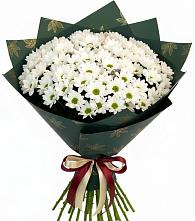 Букет цветов из:  Хризантемы #REPLACE_PRED# Пседахе