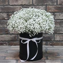 Цветочная композиция из Гипсофила в шляпной коробке в Пседахе