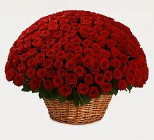 Премиум букет из: Розы в Пседахе