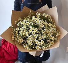 Букет цветов из:  Ромашки #REPLACE_PRED# Пседахе