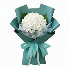 Букет цветов из:  Гортензия #REPLACE_PRED# Пседахе
